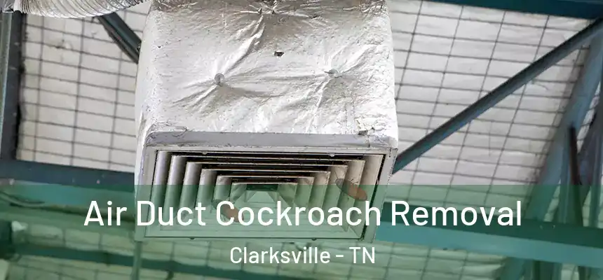  Air Duct Cockroach Removal Clarksville - TN