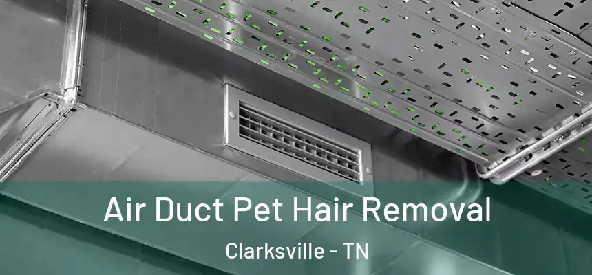 Air Duct Pet Hair Removal Clarksville - TN