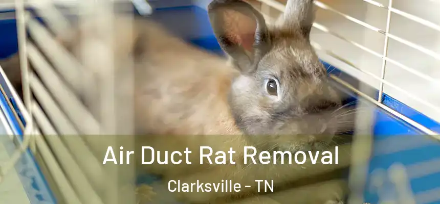  Air Duct Rat Removal Clarksville - TN