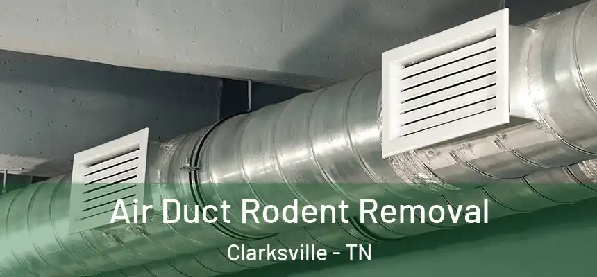 Air Duct Rodent Removal Clarksville - TN