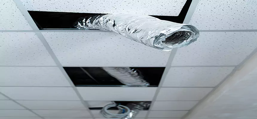 Our Air Duct Pet Hair Removal Services in Clarksville, TN