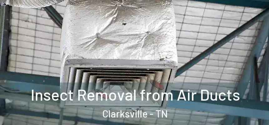 Insect Removal from Air Ducts Clarksville - TN