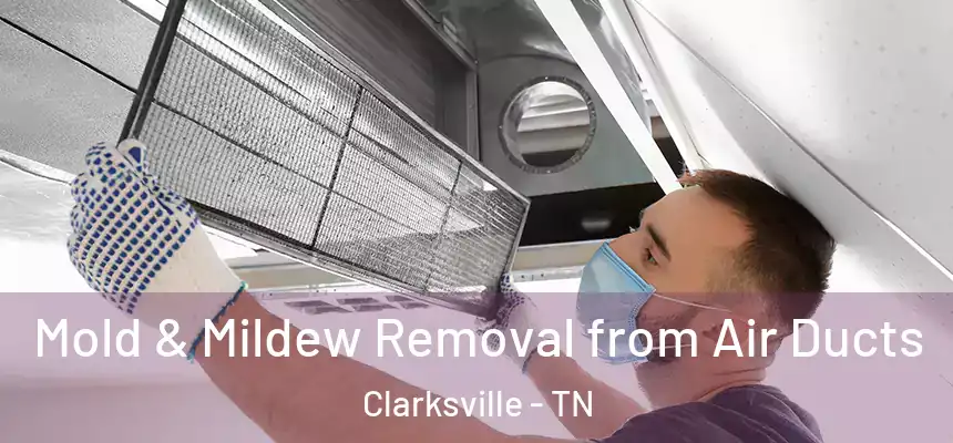 Mold & Mildew Removal from Air Ducts Clarksville - TN