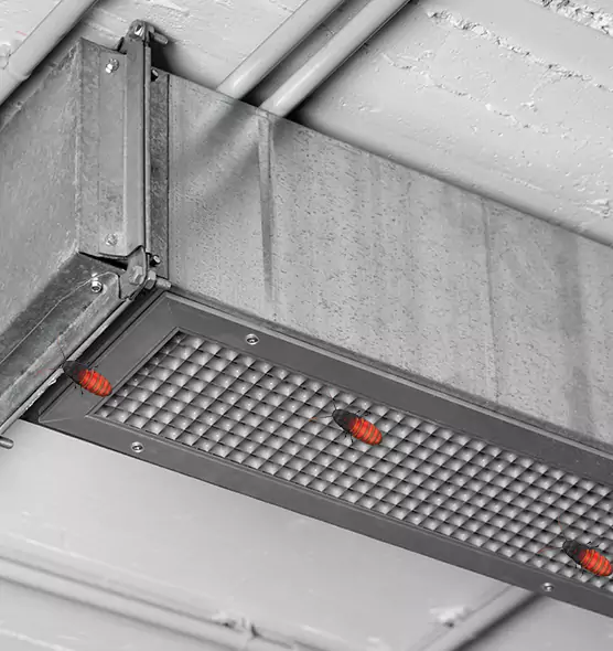 About Air Duct Cockroach Removal in Clarksville, TN