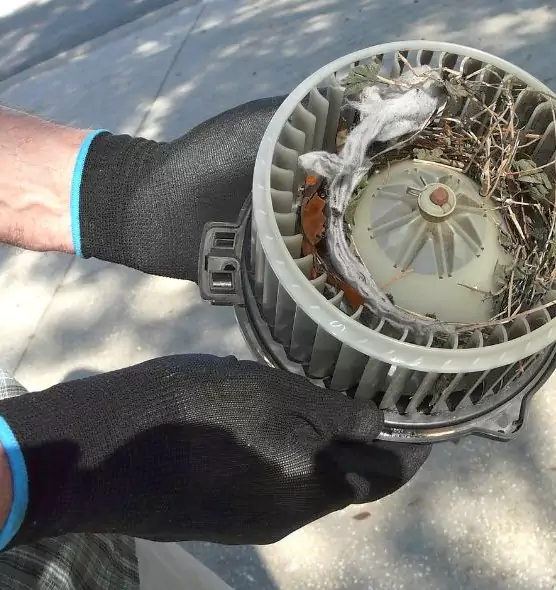 About Air Duct Mice Removal in Clarksville, TN