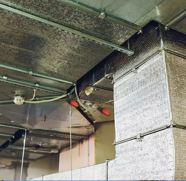 Why Homeowners & Businesses Trust Us Clarksville, TN?