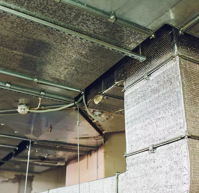 Why Homeowners & Businesses Trust Us in Clarksville, TN?