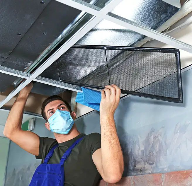 Why Homeowners & Businesses Trust Us in Clarksville, TN?